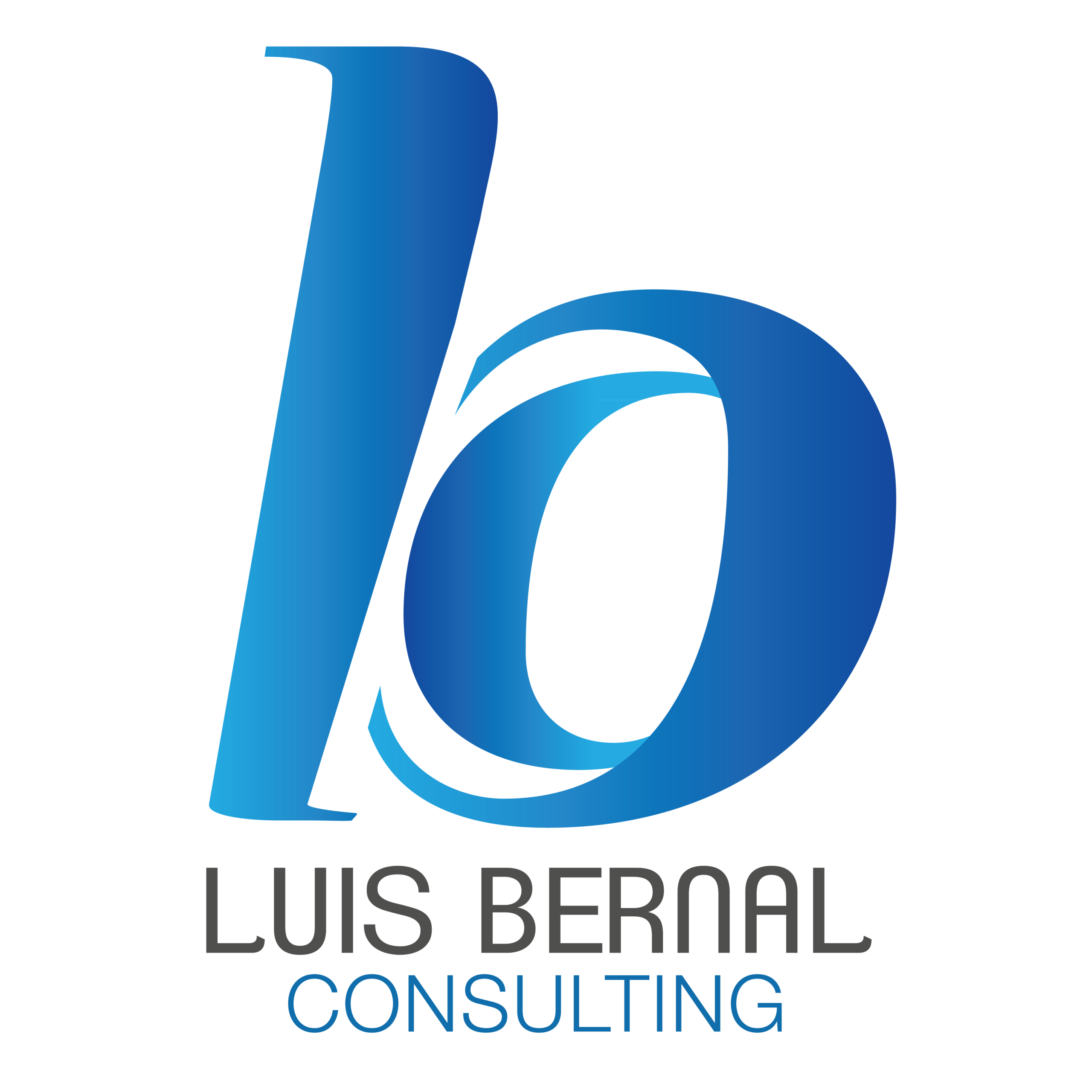 Luis Bernal Consulting